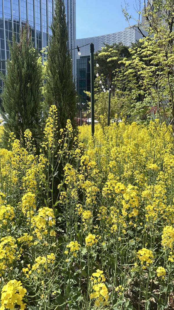 240706